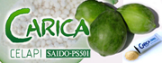 カリカセラピSAIDO-PS501 はパパイア発酵食品！クチコミだけで100万人、人気の秘密は？