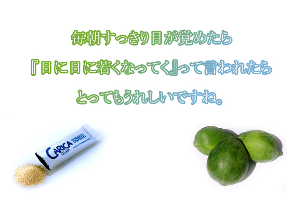 カリカセラピＳＡＩＤＯ－ＰＳ５０１　１００％自然主義のパパイア発酵食品