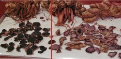『クロガリンダ』は、幻の植物で伝統生薬の「黒ガリンガル」が主原料で、『抗糖化』に優れたサプリメントてす