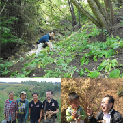 クロガリンダ100カプセル